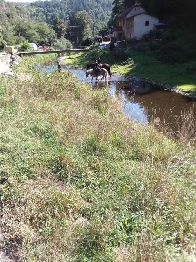 Rekreacni Chata Kocaba Stechowitz Dış mekan fotoğraf
